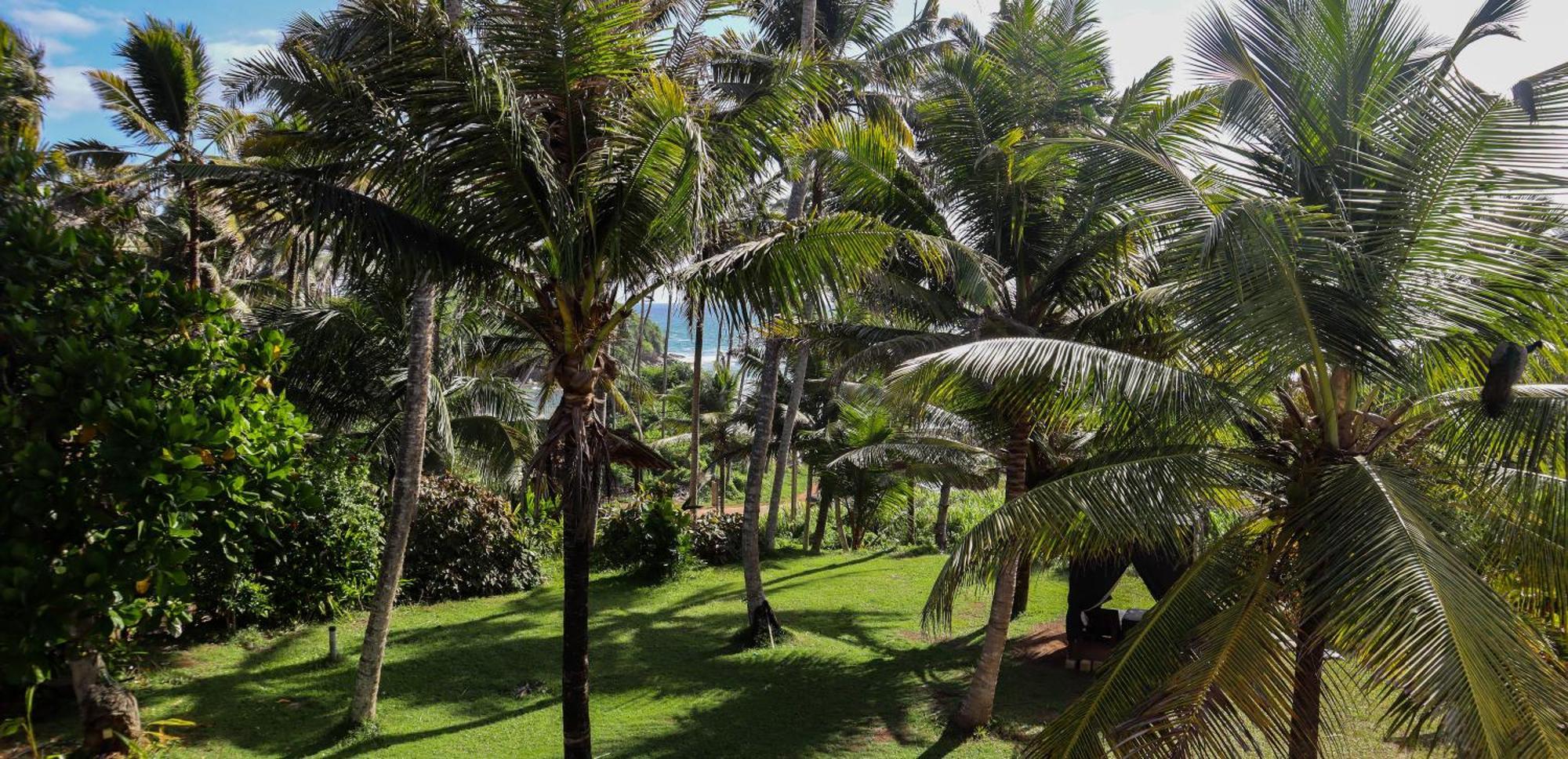 Hotel Singhe House Dikwella Sur Exterior foto