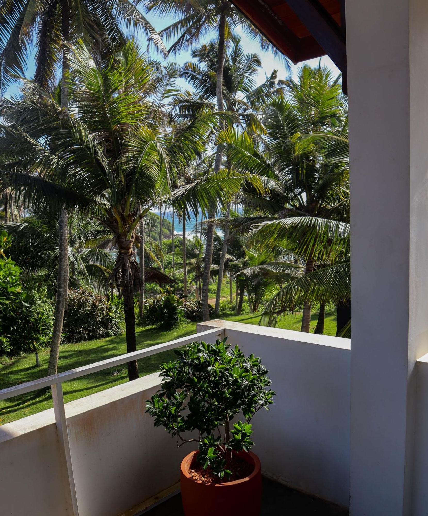 Hotel Singhe House Dikwella Sur Exterior foto
