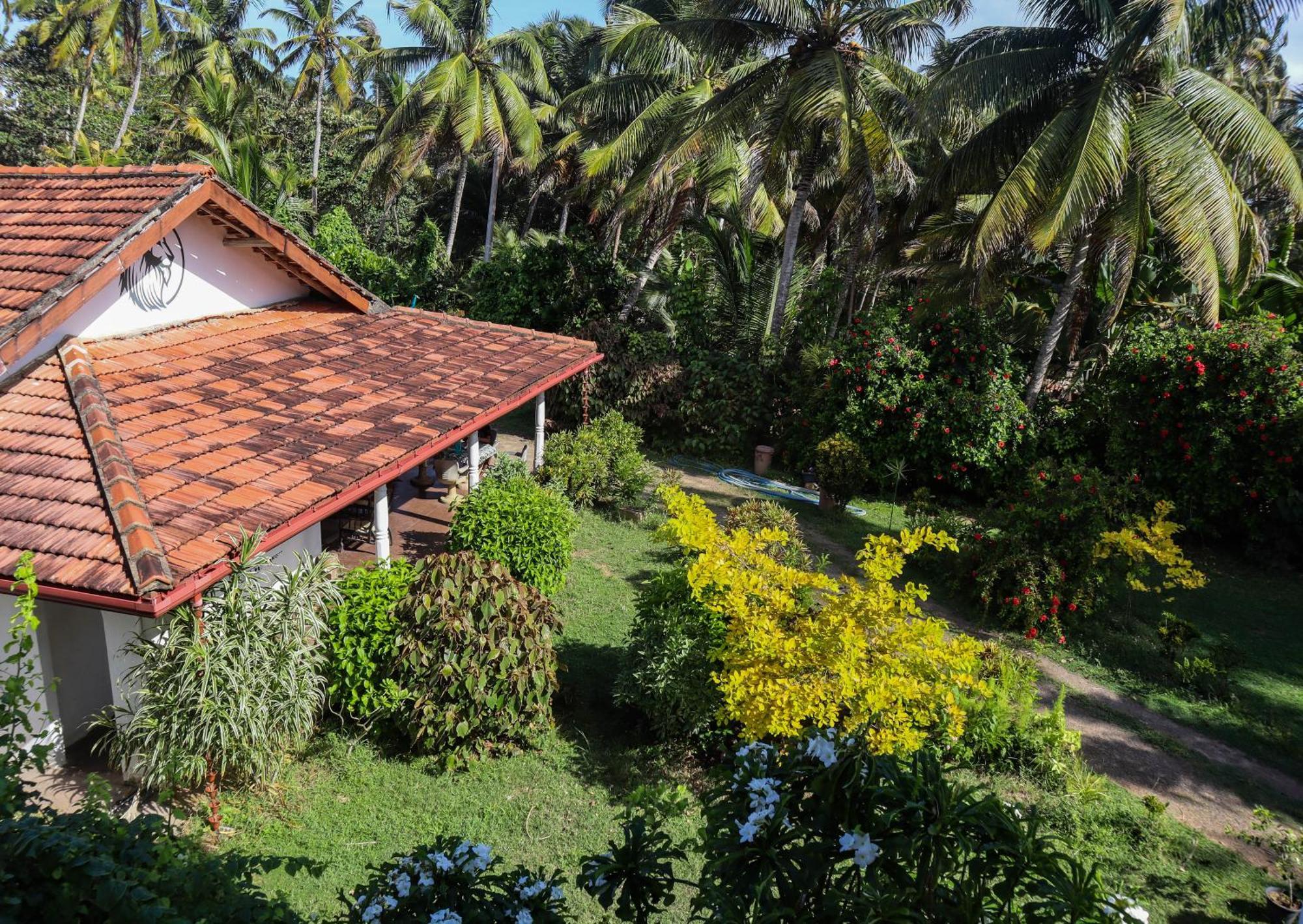 Hotel Singhe House Dikwella Sur Exterior foto