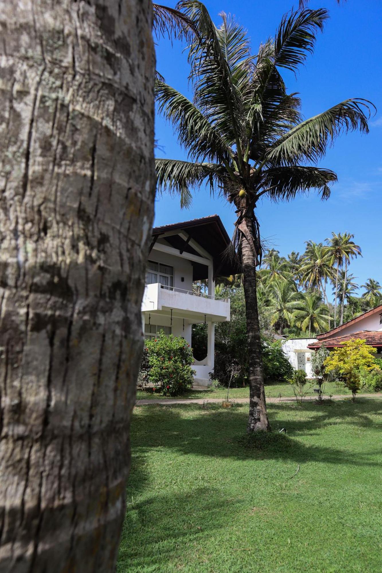 Hotel Singhe House Dikwella Sur Exterior foto